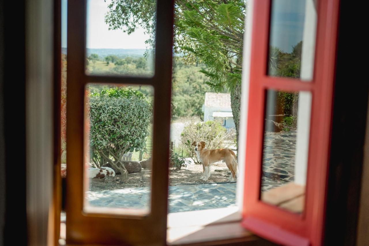 Monte Gois Country House E Spa Curvatos Eksteriør billede