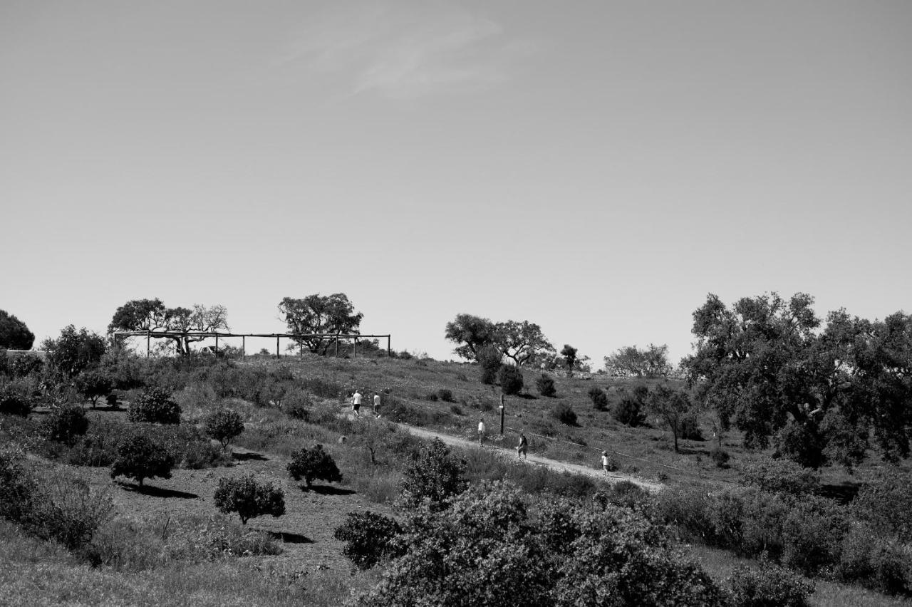 Monte Gois Country House E Spa Curvatos Eksteriør billede